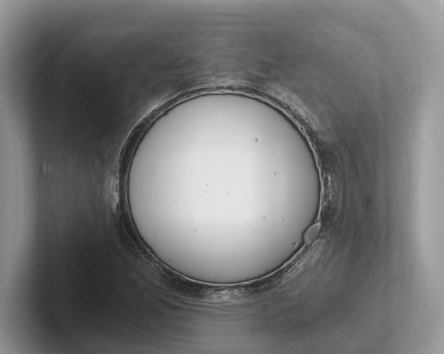 X0000101461165200807211327