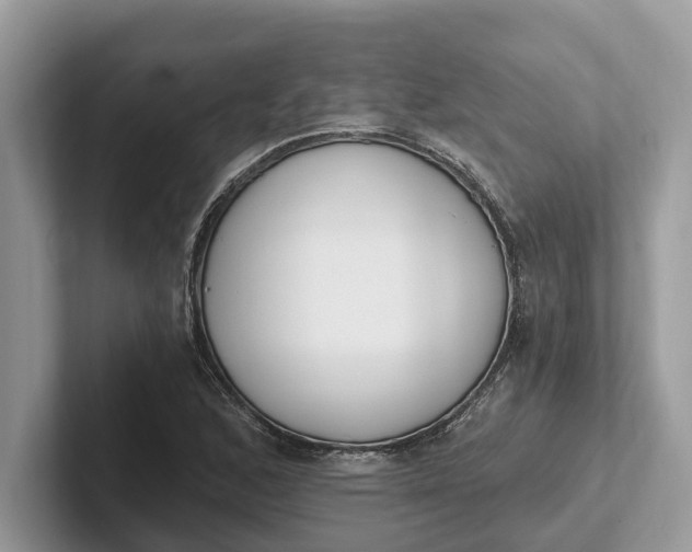 X0000101461168200807211327