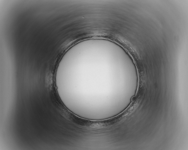 X0000101461169200807211327