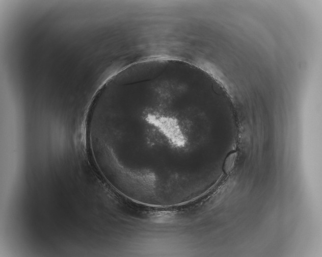 X0000101461173200807211327