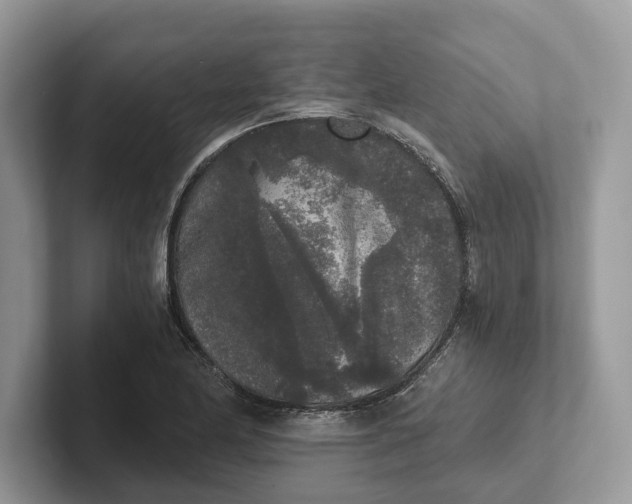 X0000101461174200807211327