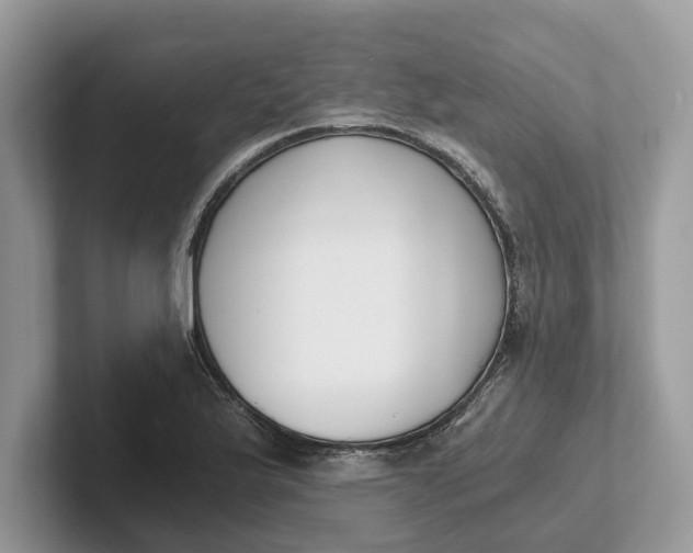 X0000101461175200807211327