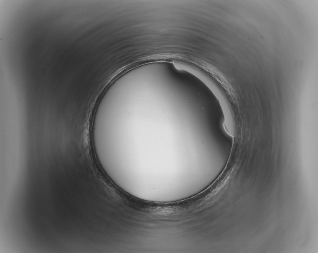X0000101461177200807211327