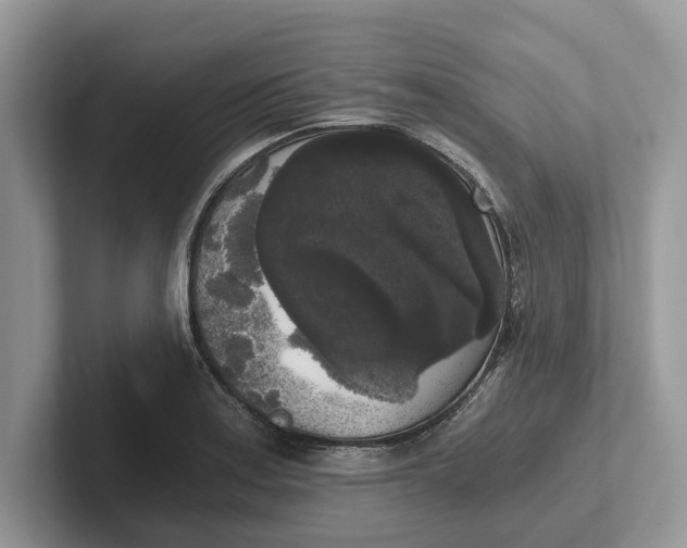 X0000101461179200807211327