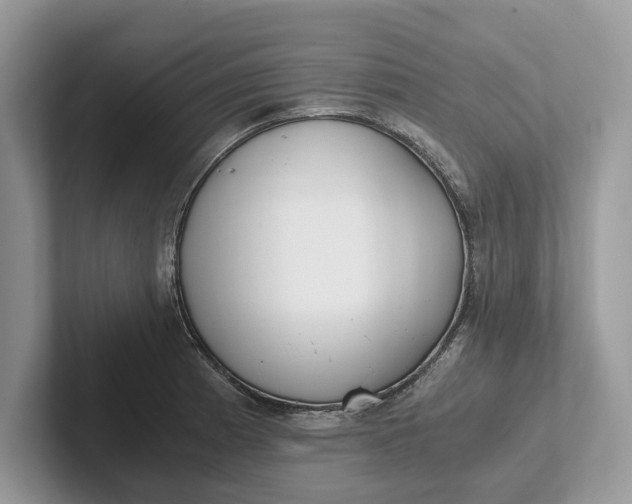 X0000101461185200807211327