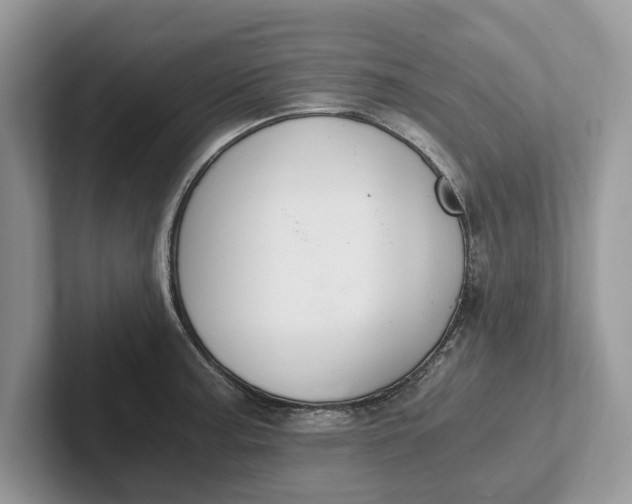 X0000101461187200807211327