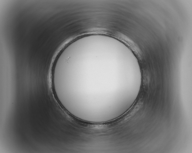 X0000101461188200807211327