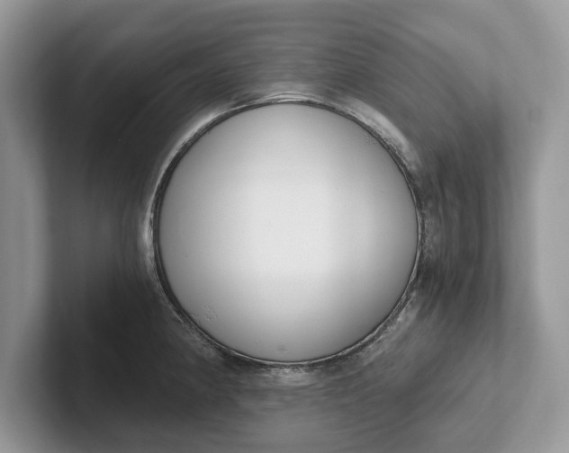 X0000101461190200807211327