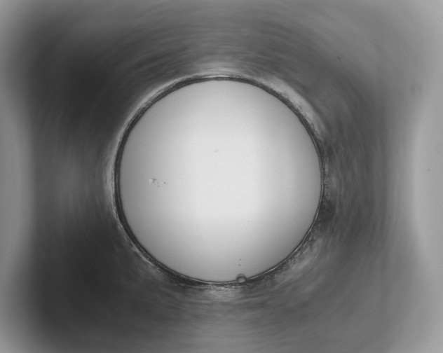 X0000101461191200807211327