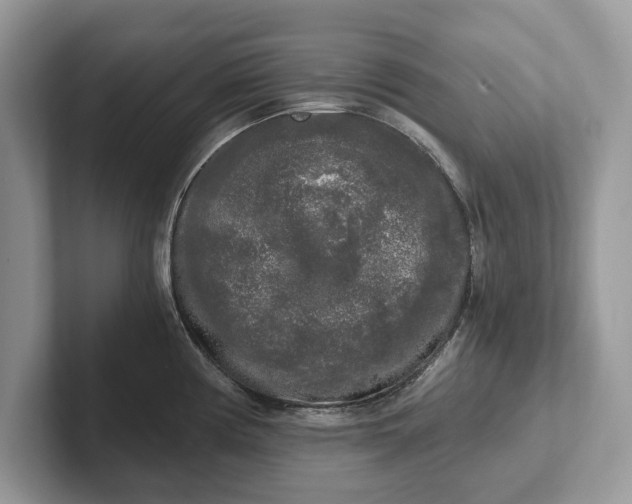 X0000101461194200807211327