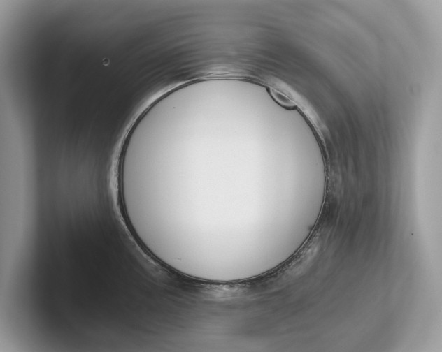 X0000101461195200807211327