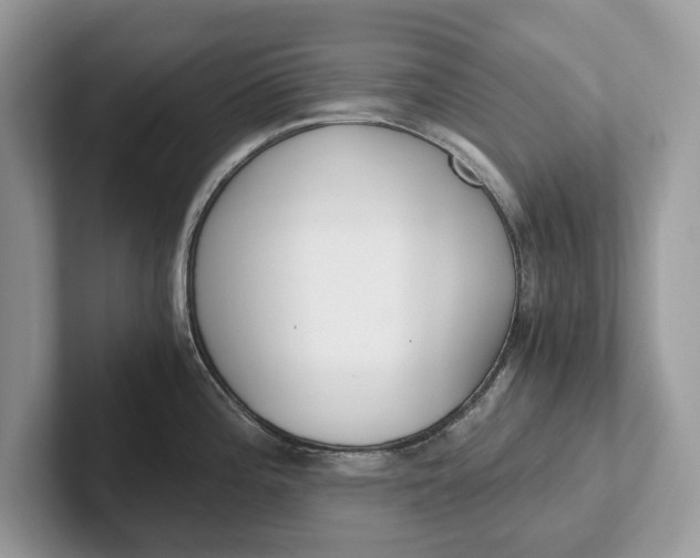 X0000101461196200807211327