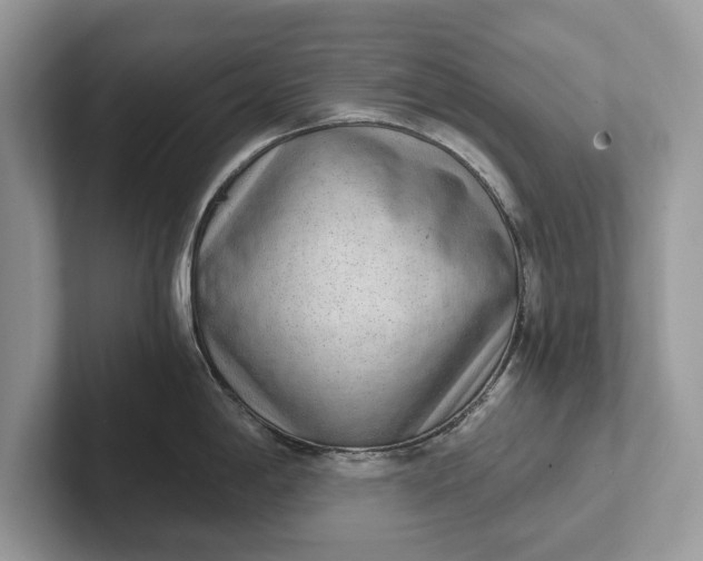 X0000101461198200807211327