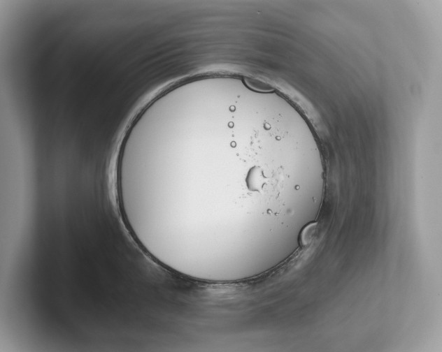 X0000101461199200807211327