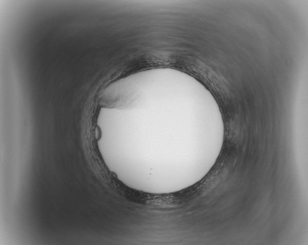 X0000101461201200807211326