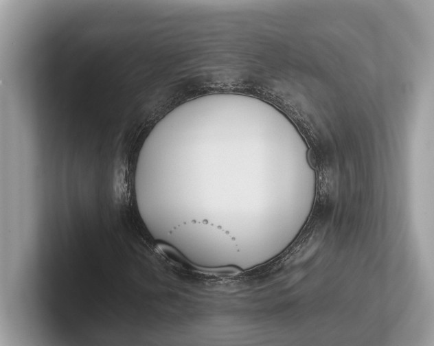 X0000101461202200807211326