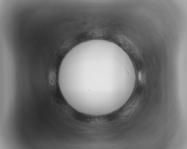 X0000101461203200807211326