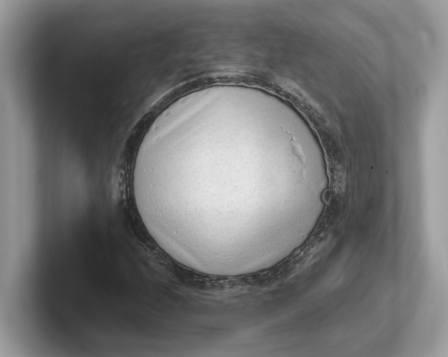 X0000101461208200807211326