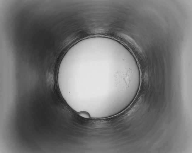 X0000101461209200807211326
