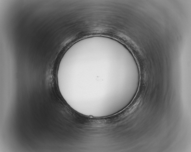 X0000101461210200807211326