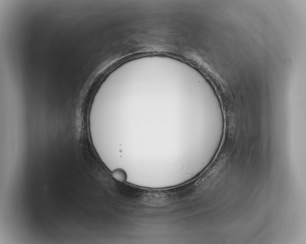 X0000101461215200807211326