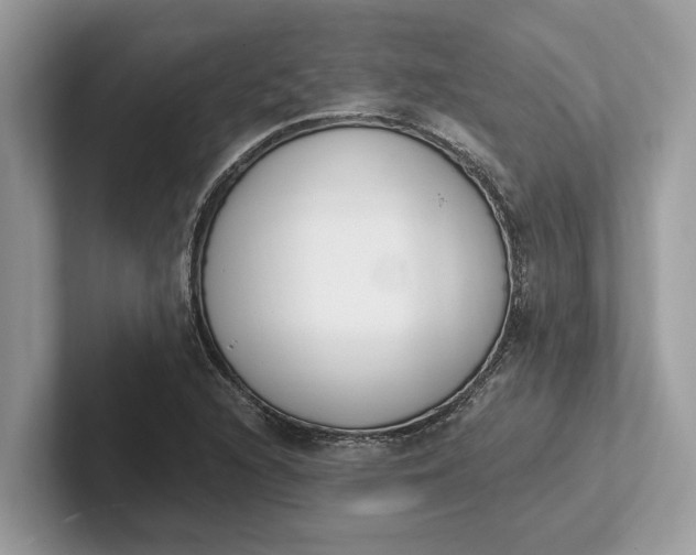 X0000101461216200807211326