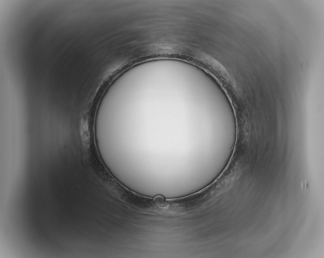 X0000101461218200807211326