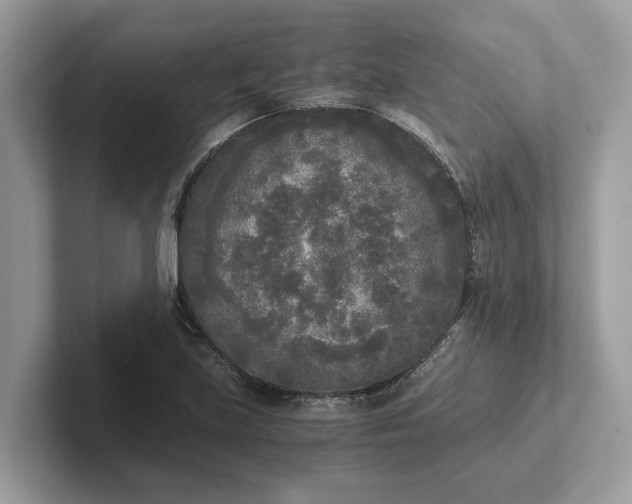 X0000101461219200807211326