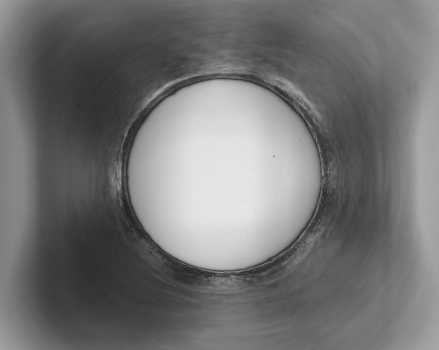 X0000101461220200807211326
