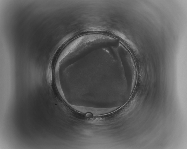 X0000101461221200807211326