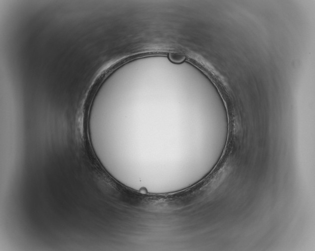 X0000101461222200807211326