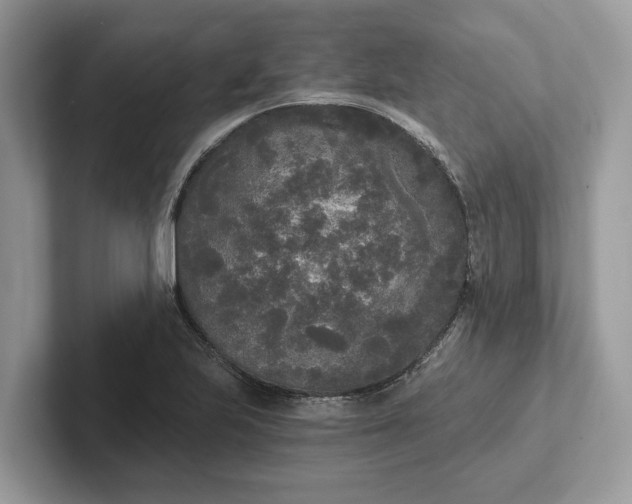 X0000101461223200807211326
