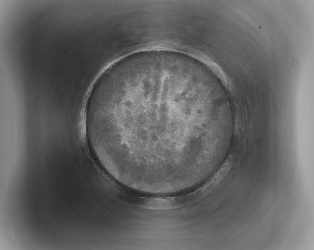 X0000101461224200807211326