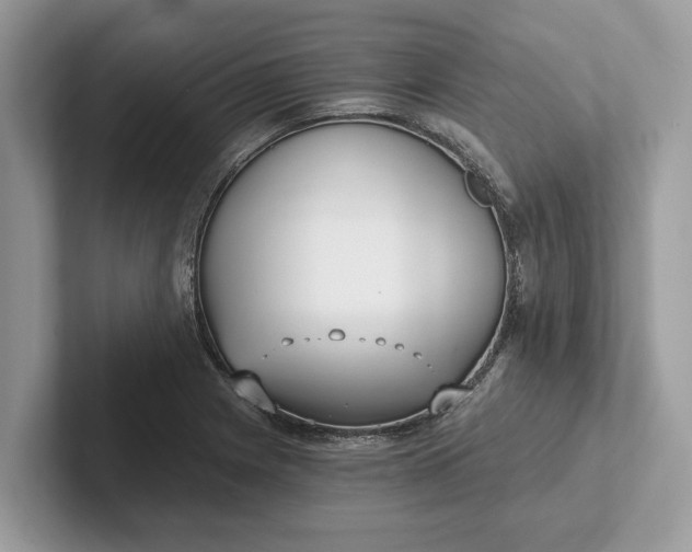 X0000101461225200807211326