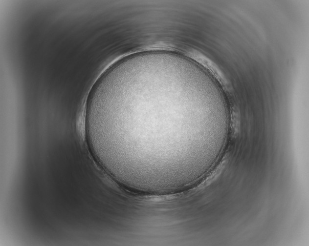 X0000101461228200807211326