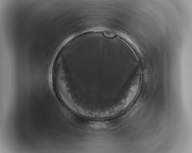 X0000101461229200807211326