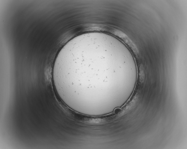 X0000101461233200807211326
