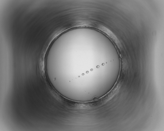X0000101461234200807211326