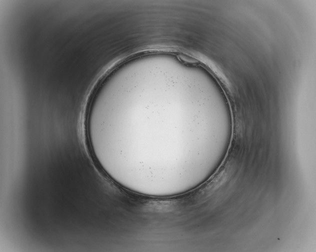 X0000101461237200807211327