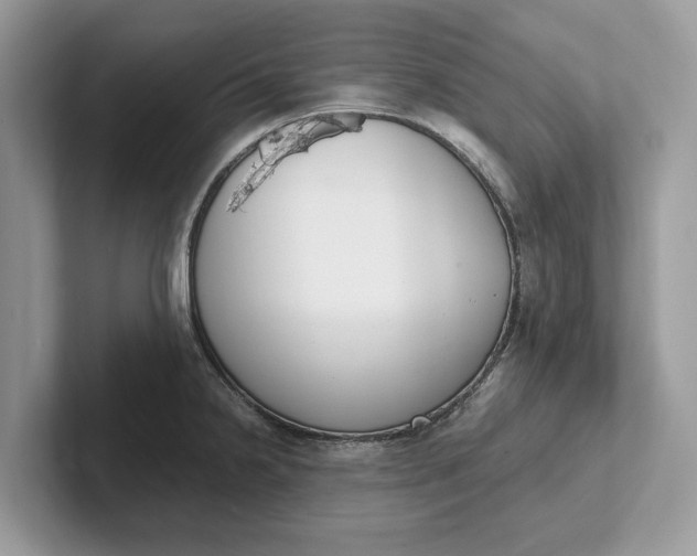 X0000101461238200807211327