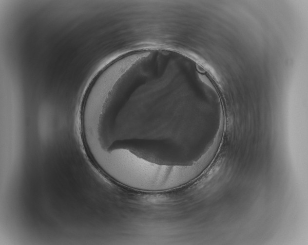 X0000101461239200807211327