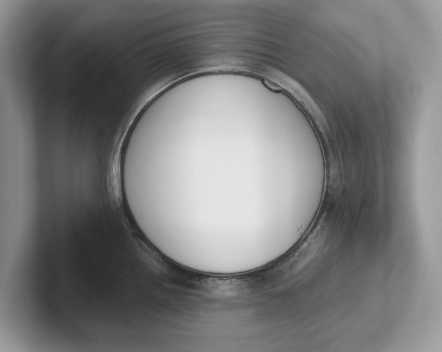 X0000101461242200807211327