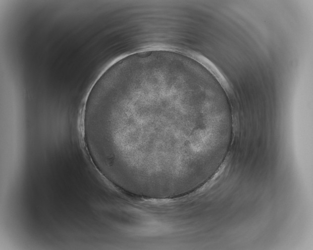 X0000101461244200807211327