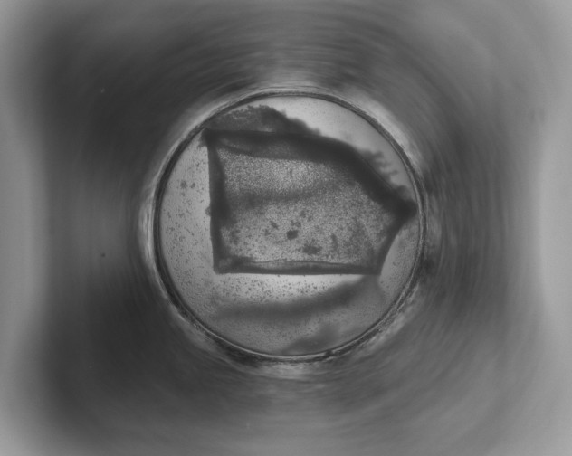 X0000101461245200807211327