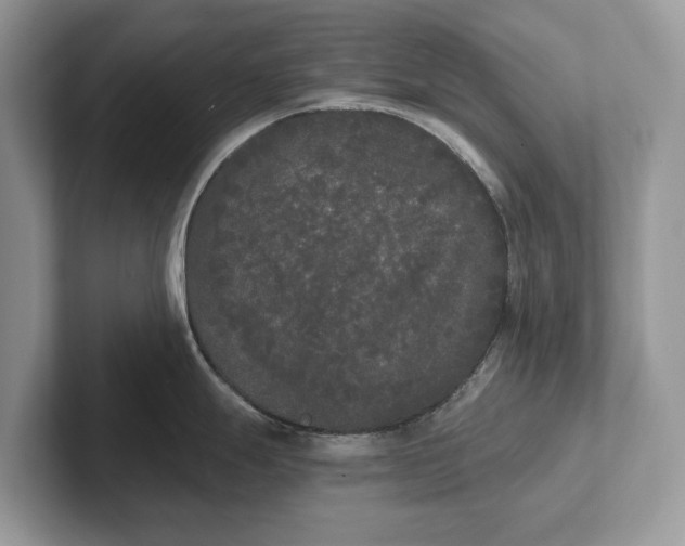 X0000101461247200807211327