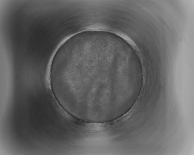 X0000101461248200807211327