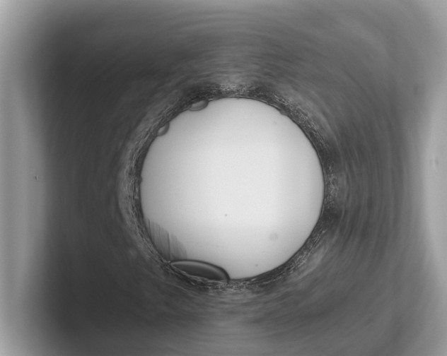 X0000101461249200807211326