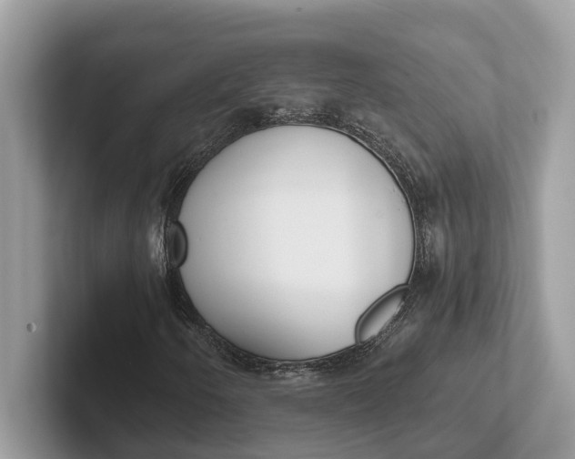 X0000101461250200807211326