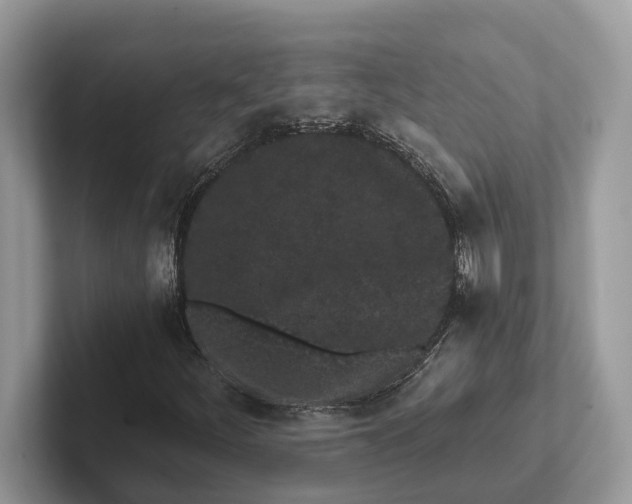 X0000101461252200807211326