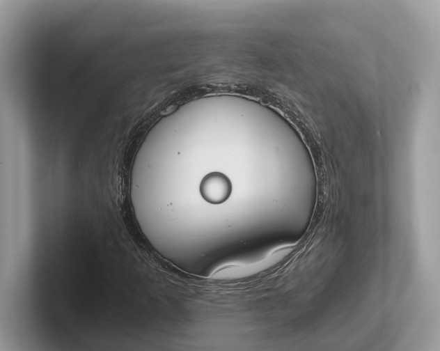 X0000101461253200807211326